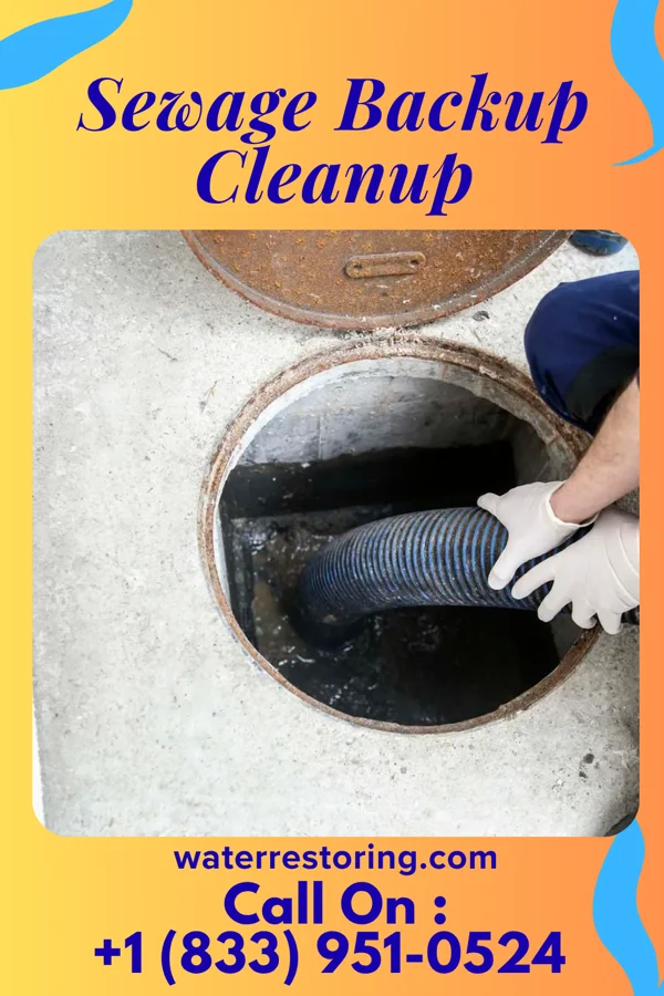 Sewage Backup Cleanup in Mapleton, KS